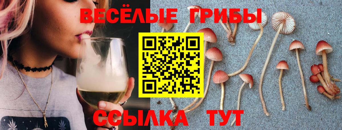 Прохладный  Галлюциногенные грибы Cubensis  Вход с VPN 
