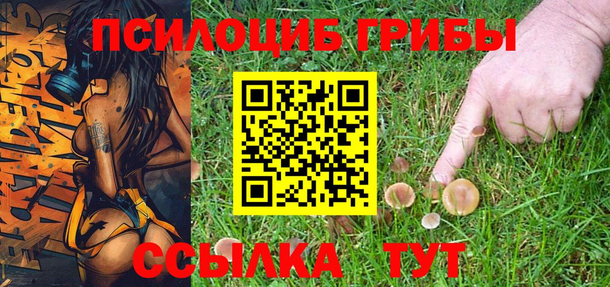 Галлюциногенные грибы мицелий Прохладный